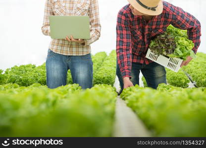 Organic vegetable farm, asian woman farmers inspect organic vegetables in the farm, vegetable salad, vegetable farm for commercial trade,Small business entrepreneur and organic vegetable farm concept