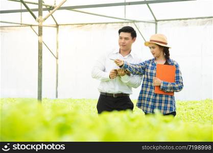 Organic vegetable farm, asian woman farmers inspect organic vegetables in the farm, vegetable salad, vegetable farm for commercial trade,Small business entrepreneur and organic vegetable farm concept