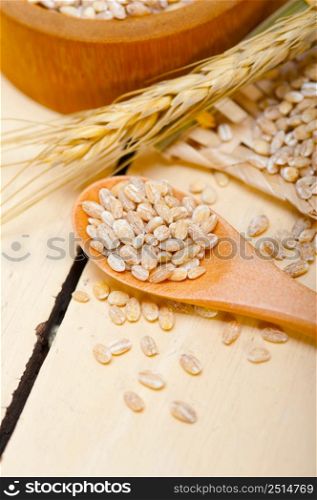 organic wheat grains over rustic wood table macro closeup