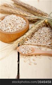 organic wheat grains over rustic wood table macro closeup