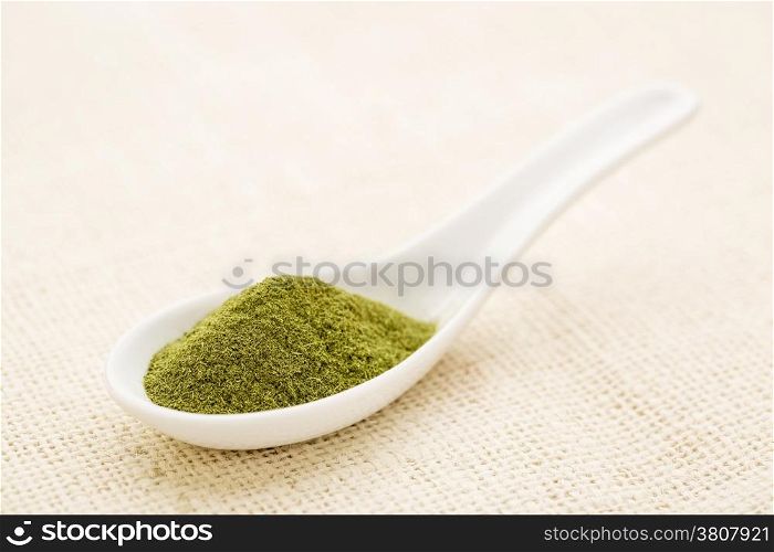 organic wheatgrass powder on a white Chinese spoon against burlap canvas