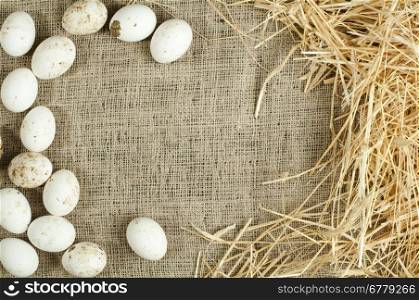 Organic white eggs on sackcloth and straw. Copy space