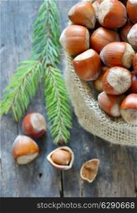 Organic Whole Hazelnuts in a sack on old wood