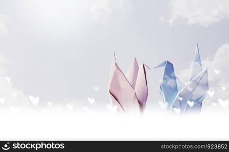 Origami couple paper crane with heart on sky