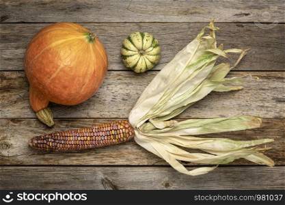ornamental corn ear and winter squash - flat lay on a rustic, weathered wood