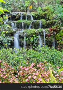 Ornamental Garden with waterfall
