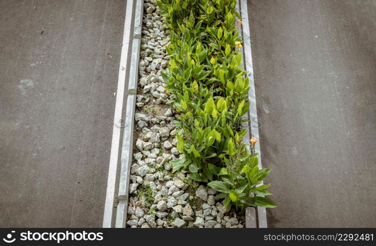 Ornamental green trees or bush plants blooming and stone pile over median strip and Empty road. Selective focus.