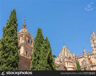 Ornate carvings and bell tower of the Old Cathedral in Salamanca. Ornate carvings on roof of the Old Cathedral in Salamanca
