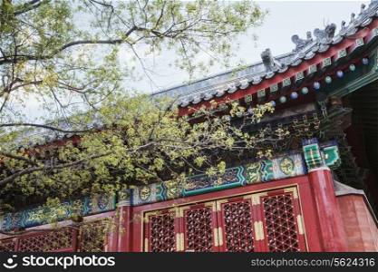 Ornate facade and roof of Chinese building.