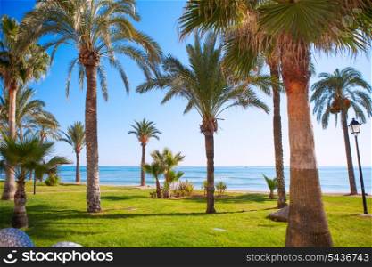 Oropesa de Mar in Castellon palm tree garden in mediterranean sea