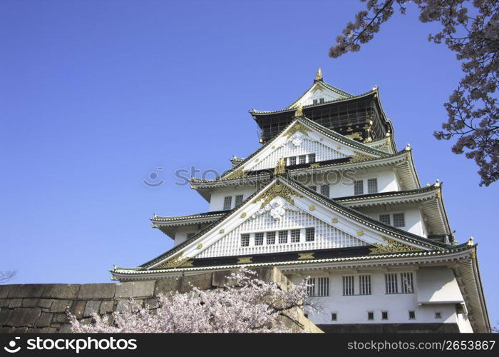 Osaka castle and Cherry tree