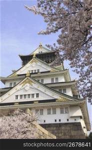 Osaka castle and Cherry tree