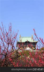 Osaka castle and Plum tree