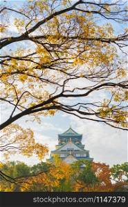 Osaka Castle building with colorful maple leaves or fall foliage in autumn season. Colorful trees, Kyoto City, Kansai, Japan. Architecture landscape background. Famous tourist attraction.