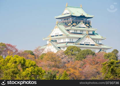 Osaka castle with autumn garden in Kansai Japan