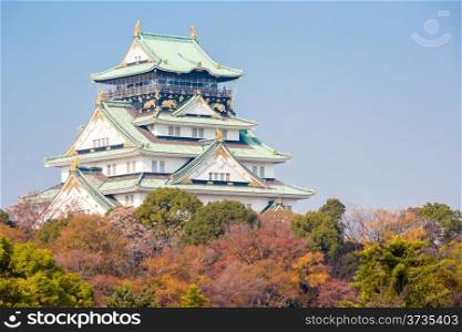 Osaka castle with autumn garden in Kansai Japan