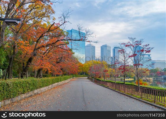 Osaka downtown skyline with lake or river and skyscraper buildings in Kansai in colorful Autumn season with red maple leaves, trees in park, urban city, Japan. Architecture landscape background.
