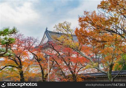 Osaka temple pagoda with red maple leaves or fall foliage with branches in colorful autumn season in Osaka City, Kansai. Trees in Japan. Architecture landscape background.