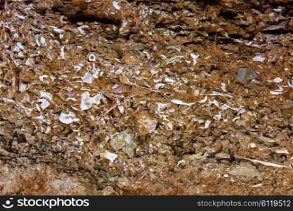 ossuary prehistoric in Cueva Calaveras of Benidoleig at Alicante Spain