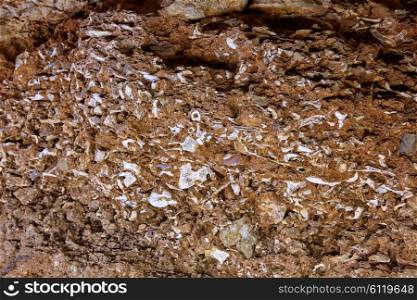 ossuary prehistoric in Cueva Calaveras of Benidoleig at Alicante Spain
