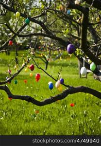 Ostereier. painted Easter eggs on a tree