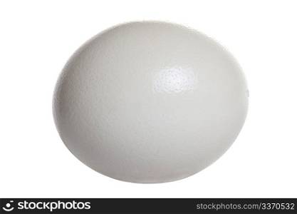 ostrich egg isolated on white