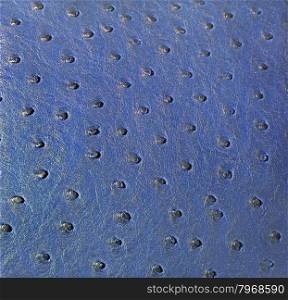 Ostrich genuine leather blue background