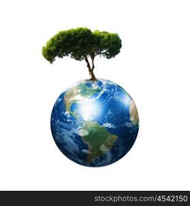 our planet Earth and the tree - a symbol of environmental protection