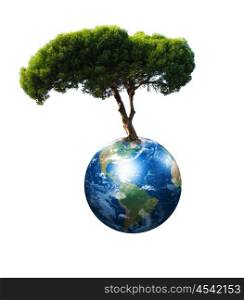 our planet Earth and the tree - a symbol of environmental protection
