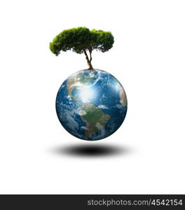 our planet Earth and the tree - a symbol of environmental protection