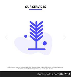 Our Services Eco, Environment, Nature, Summer, Tree Solid Glyph Icon Web card Template