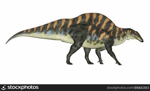 Ouranosaurus dinosaur walking isolated in white background - 3D render. Ouranosaurus dinosaur - 3D render