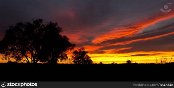 Outback Sunrise