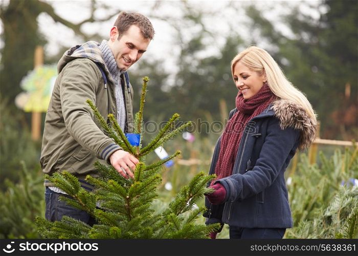 Outdoor Couple Choosing Christmas Tree Together