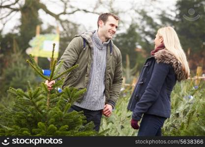 Outdoor Couple Choosing Christmas Tree Together