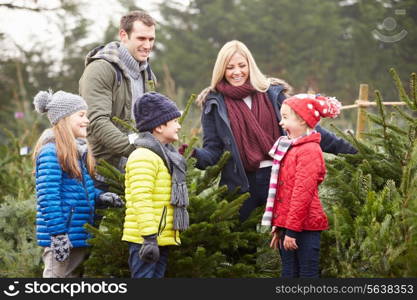 Outdoor Family Choosing Christmas Tree Together