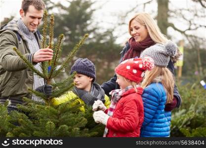 Outdoor Family Choosing Christmas Tree Together