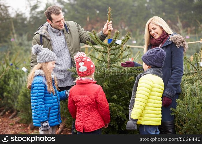 Outdoor Family Choosing Christmas Tree Together