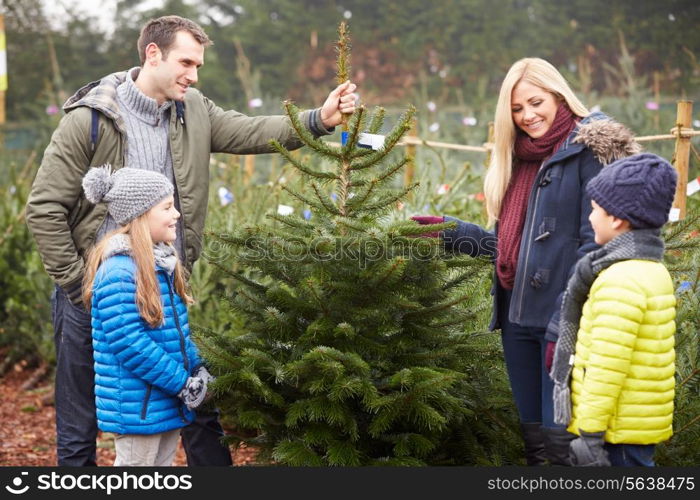 Outdoor Family Choosing Christmas Tree Together