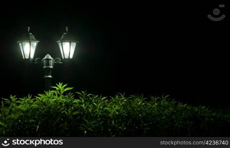 Outdoor Night lamp in park. Night light
