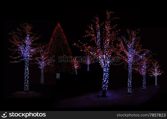 Outdoor night shot of Illuminated trees for the perfect Christmas atmosphere