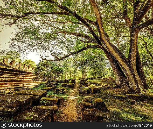 Outdoor park landscape in vintage style. Empty road going through ancient ruins of Angkor Wat complex at tropical forest. Siem Reap, Cambodia