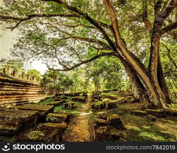 Outdoor park landscape in vintage style. Empty road going through ancient ruins of Angkor Wat complex at tropical forest. Siem Reap, Cambodia