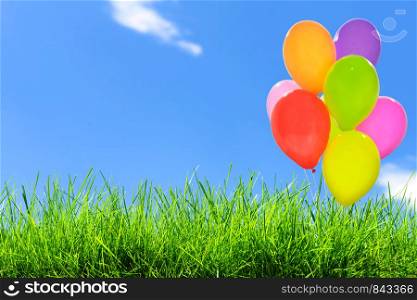 Outdoor party decoration concept - mix of colorful balloons on a green grass field and blue sky background with copy space (mixed).