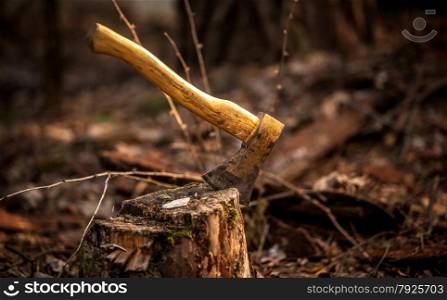 Outdoor photo of axe in stump