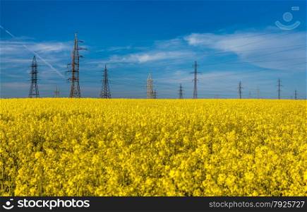 Outdoor photo of electric towers in rapeseed against blue sky