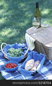 Outdoor Picnic