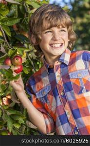 Outdoor portrait of happy young boy male child picking an organic red apple from a tree in an orchard and smiling with perfect teeth