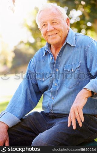 Outdoor Portrait Of Smiling Senior Man