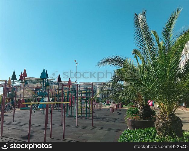 Outdoor sports ground with palm trees. Adler city, Russia